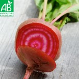 BETTERAVE CHIOGGIA - Graines BIO | Ferme de Sainte Marthe | Graines et Bio