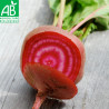 BETTERAVE CHIOGGIA - Graines BIO | Ferme de Sainte Marthe | Graines et Bio