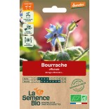 BOURRACHE OFFICINALE - Graines BIO | La Semence Bio | Graines et Bio