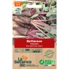 BETTERAVE CRAPAUDINE - Graines BIO | La Semence Bio | Graines et Bio