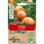 COURGE JACK O'LANTERN - Graines BIO | La Semence Bio | Graines et Bio