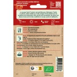 COURGE JACK O'LANTERN - Graines BIO | La Semence Bio | Graines et Bio