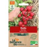 RADIS ROND RAXE - Graines BIO | La Semence Bio | Graines et Bio
