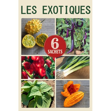 PACK "Les Exotiques" - Graines Bio |  | Graines et Bio