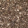 CHIA à semer - Graines BIO | KOKOPELLI | Graines et Bio