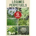 PACK "Les Légumes...