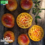 🍅 Graines de TOMATE - TOMATE HAWAIIAN ANANAS - Graines BIO