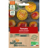 TOMATE ANANAS Hawaiian - Graines BIO | La Semence Bio | Graines et Bio
