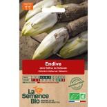 ENDIVE Demi Hâtive DE HOLLANDE - Graines BIO | La Semence Bio | Graines et Bio