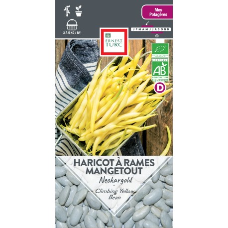 HARICOT JAUNE BEURRE Neckargold - Graines BIO | Ernest Turc | Graines et Bio