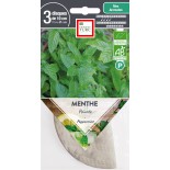 Graines de MENTHE - MENTHE POIVRÉE - Graines BIO PRÉSEMÉ