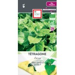 TÉTRAGONE CORNUE - Graines BIO | Ernest Turc | Graines et Bio