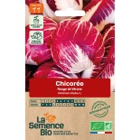 CHICORÉE ROUGE DE VÉRONE - Graines BIO | La Semence Bio | Graines et Bio