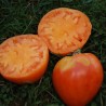 TOMATE COEUR DE BOEUF Orange - Graines BIO | KOKOPELLI | Graines et Bio