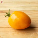 TOMATE COEUR DE BOEUF Orange - Graines BIO | KOKOPELLI | Graines et Bio