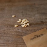 COURGETTE ORTOLANA di FAENZA - Graines BIO | Ferme de Sainte Marthe | Graines et Bio