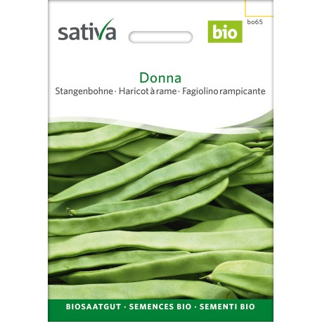 HARICOT PLAT À RAMES Donna - Graines BIO | Sativa | Graines et Bio