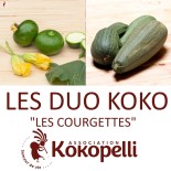 🥒 Graines de COURGETTE - COURGETTES - DUO Kokopelli - Graines BIO