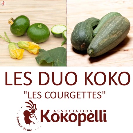 COURGETTES - DUO Kokopelli - Graines BIO | KOKOPELLI | Graines et Bio