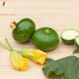 COURGETTES - DUO Kokopelli - Graines BIO | KOKOPELLI | Graines et Bio