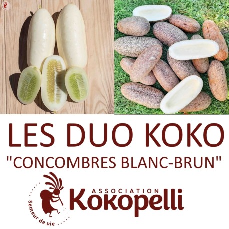 CONCOMBRES BLANC-BRUN - DUO Kokopelli - Graines BIO | KOKOPELLI | Graines et Bio