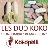 CONCOMBRES BLANC-BRUN - DUO Kokopelli - Graines BIO | KOKOPELLI | Graines et Bio