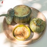 COURGETTE RONDE DE NICE + 50 % - Graines BIO | KOKOPELLI | Graines et Bio