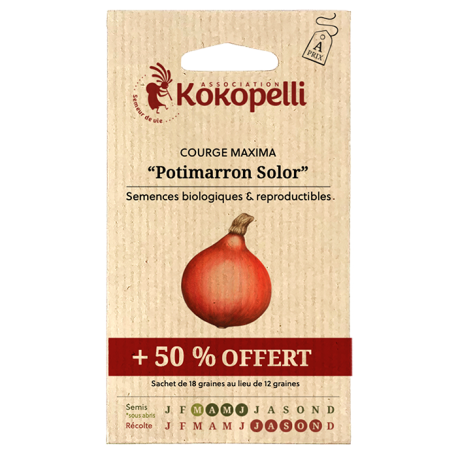 POTIMARRON Solor +50% - Graines BIO | KOKOPELLI | Graines et Bio