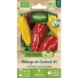 🌶️ Graines de POIVRON et PIMENT - Mélange de POIVRONS Rouge et Jaune - Graines BIO