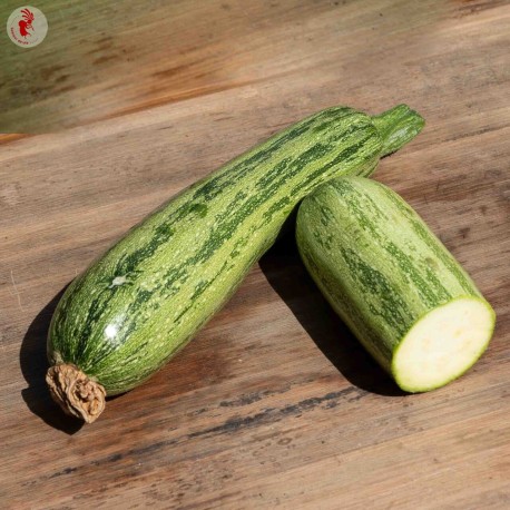 COURGETTE Nimba - Graines BIO | KOKOPELLI | Graines et Bio