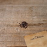 STATICE PASTEL en Mélange ou LIMONIUM - Graines BIO | Ferme de Sainte Marthe | Graines et Bio