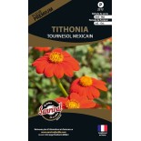 TOURNESOL MEXICAIN ou TITHONIA - Graines PREMIUM non traitées | SANRIVAL | Graines et Bio