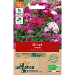 OEILLET DE POÈTE - Graines BIO | La Semence Bio | Graines et Bio