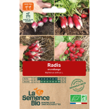 RADIS EN MÉLANGE - Graines BIO | La Semence Bio | Graines et Bio