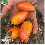 TOMATE COCKTAIL ORANGE...