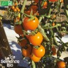 TOMATES CERISES EN MÉLANGE - Graines BIO | La Semence Bio | Graines et Bio
