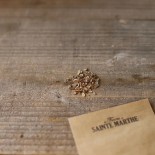 ANETH BOUQUET - Graines BIO | Ferme de Sainte Marthe | Graines et Bio