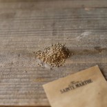 CAROTTE BERLICUM 2 - Graines BIO | Ferme de Sainte Marthe | Graines et Bio