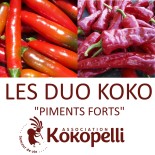 🌶️ Graines de POIVRON et PIMENT - PIMENTS FORTS - DUO Kokopelli - Graines BIO