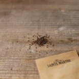 PÉRILLA VERT - Graines BIO | Ferme de Sainte Marthe | Graines et Bio