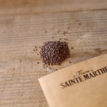 MOUTARDE NOIRE - Graines BIO | Ferme de Sainte Marthe | Graines et Bio