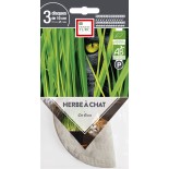 HERBE À CHAT - Graines BIO PRÉSEMÉ | Ernest Turc | Graines et Bio