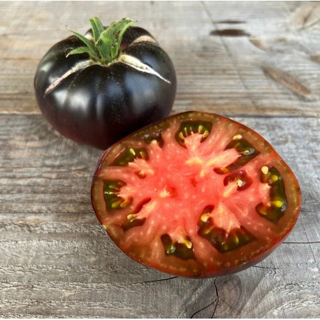 TOMATE BLACK BEAUTY - Graines BIO | Ferme de Sainte Marthe | Graines et Bio