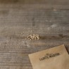 TOMATE BLACK BEAUTY - Graines BIO | Ferme de Sainte Marthe | Graines et Bio