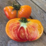 🍅 Graines de TOMATE - TOMATE ANANAS PINEAPPLE - Graines BIO