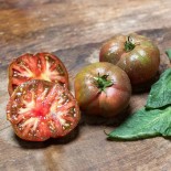 🍅 Graines de TOMATE - TOMATE BRANDYWINE BLACK - Graines BIO