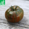 GROSSES TOMATES en MÉLANGE - Graines BIO | Ferme de Sainte Marthe | Graines et Bio