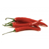 PIMENT TABASCO - Graines BIO | Ferme de Sainte Marthe | Graines et Bio