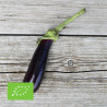 AUBERGINE de BARBENTANE - Graines BIO | Ferme de Sainte Marthe | Graines et Bio