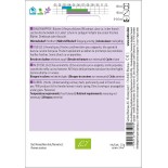 GRANDE OSEILLE Commune - Graines BIO | Sativa | Graines et Bio